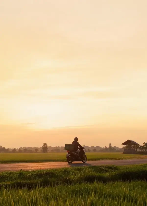 《绕远的路》封面 - 成人在线青柠首映｜公路、温情2024
